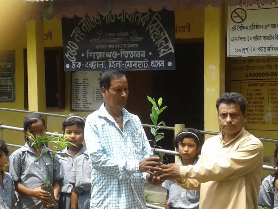 A sapling being handed to a student during World Environment Day Celebration